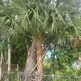 Property maintenance